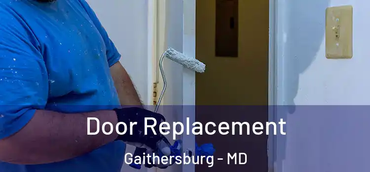 Door Replacement Gaithersburg - MD