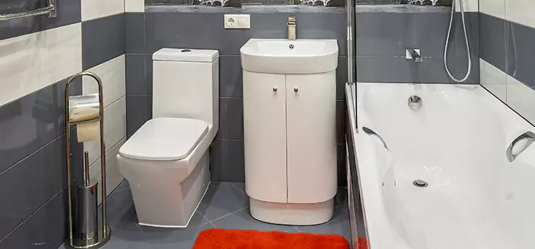 Hansgrohe Shaving Mirror Gaithersburg